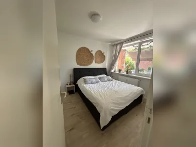 Vorschaubild 2