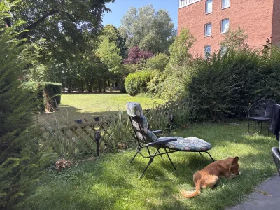 Vorschaubild 7