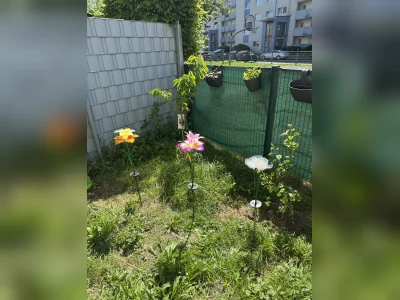Vorschaubild 1