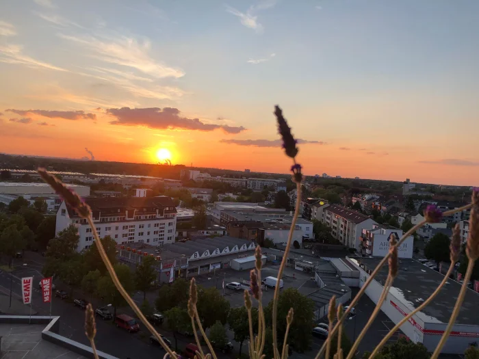 Vorschaubild 6