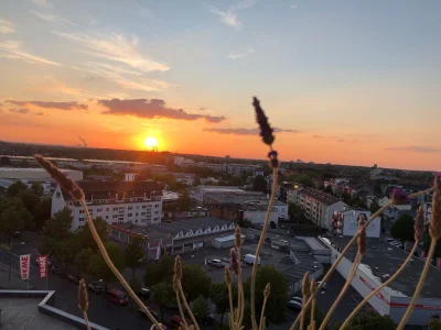 Vorschaubild 6