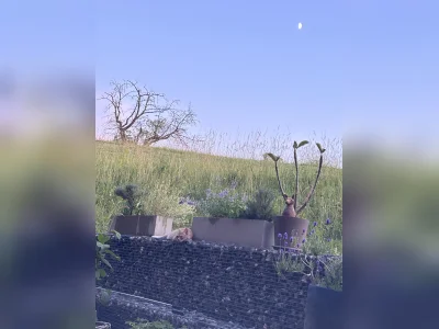 Vorschaubild 5