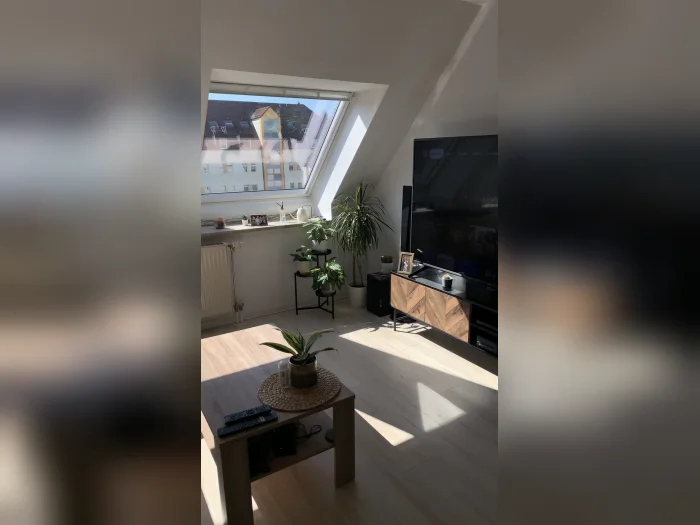 Vorschaubild 3