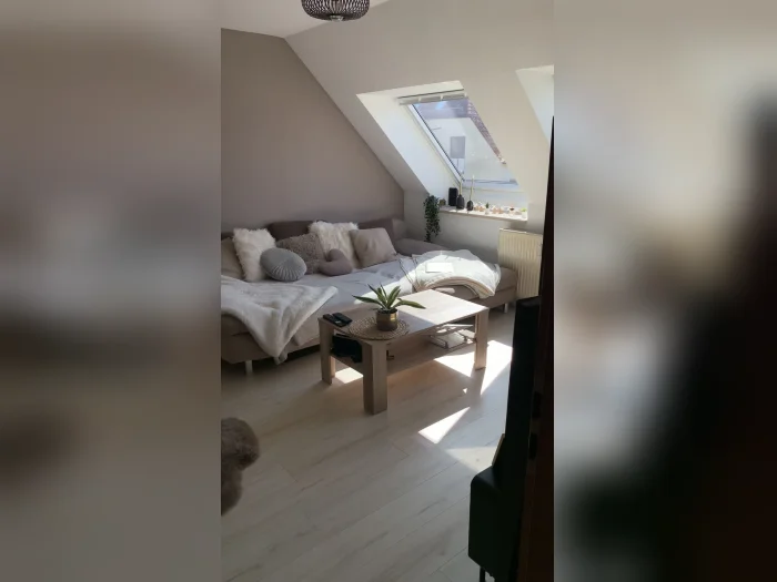 Vorschaubild 1