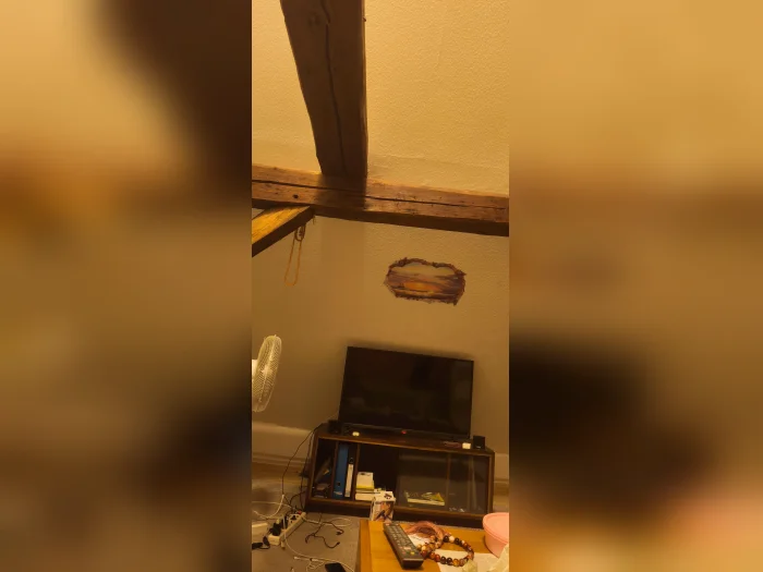 Vorschaubild 3