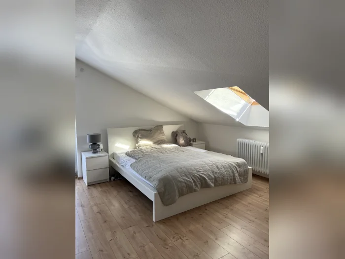 Vorschaubild 1