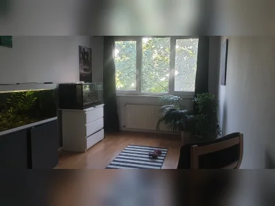 Vorschaubild 11