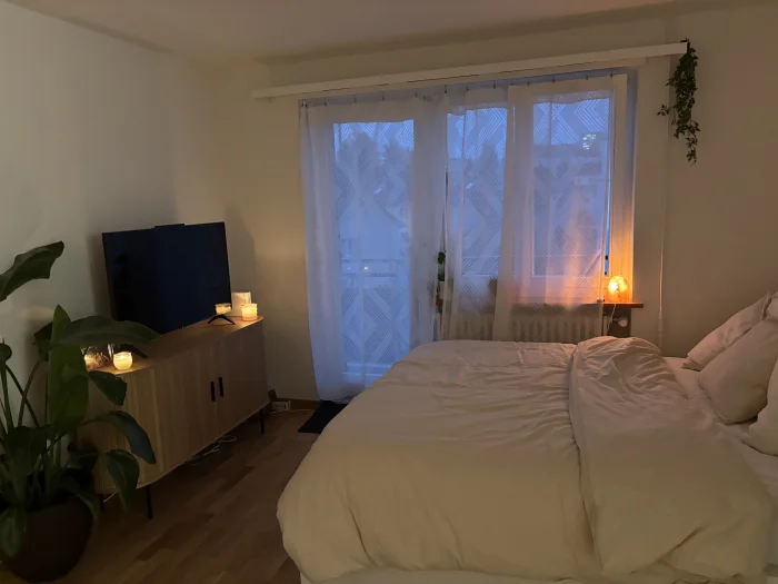 Vorschaubild 1