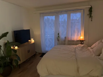Vorschaubild 1