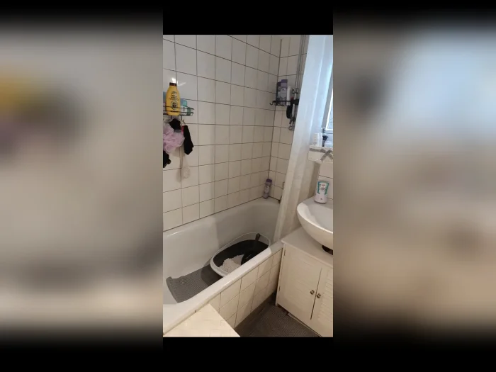 Vorschaubild 7