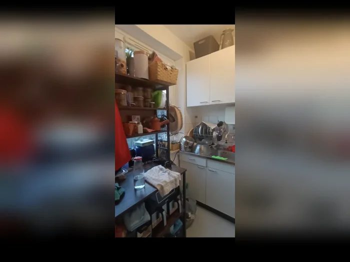 Vorschaubild 11