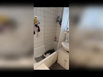 Vorschaubild 7