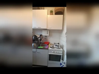 Vorschaubild 12
