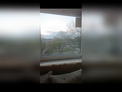 Vorschaubild 5