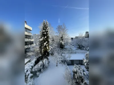 Vorschaubild 4