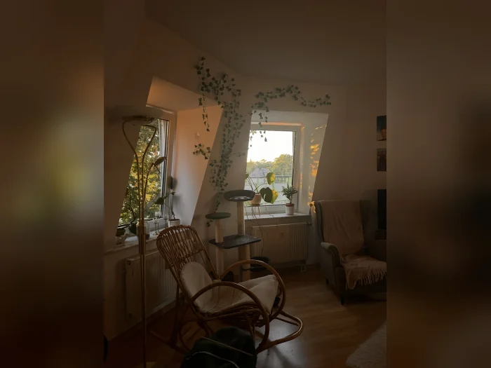 Vorschaubild 3
