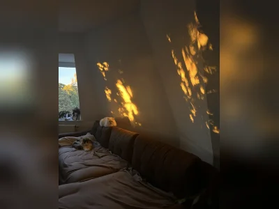 Vorschaubild 4