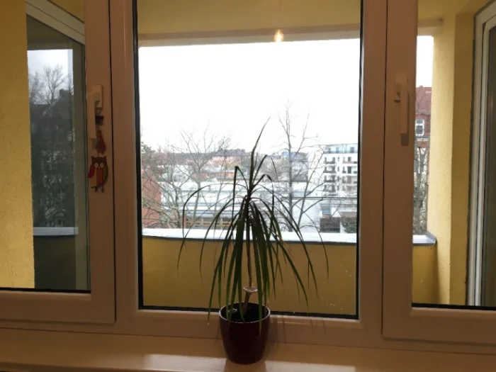 Vorschaubild 8