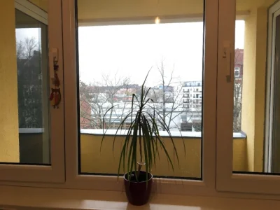 Vorschaubild 8