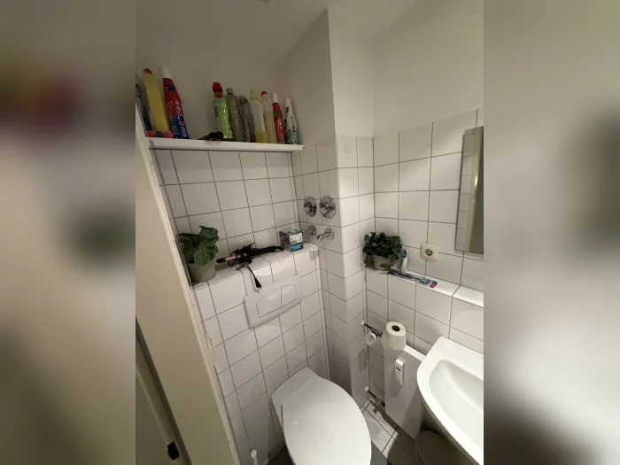 Vorschaubild 8