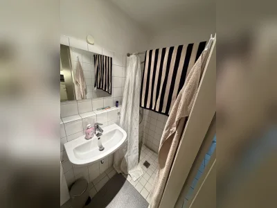 Vorschaubild 7