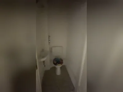 Vorschaubild 11