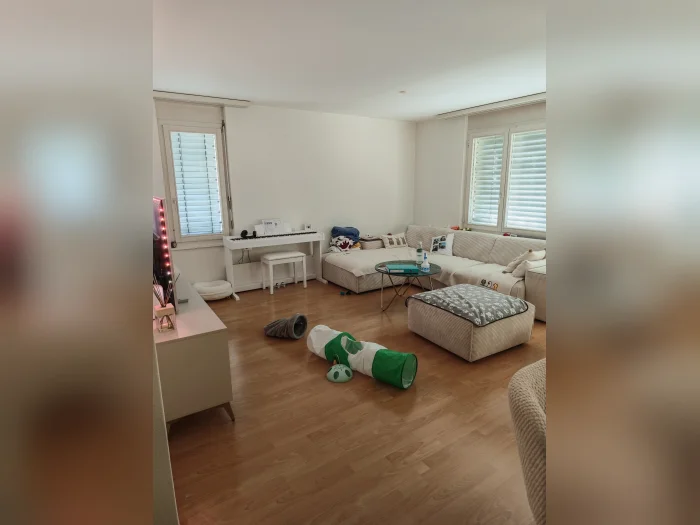 Vorschaubild 1