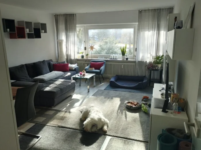 Vorschaubild 1