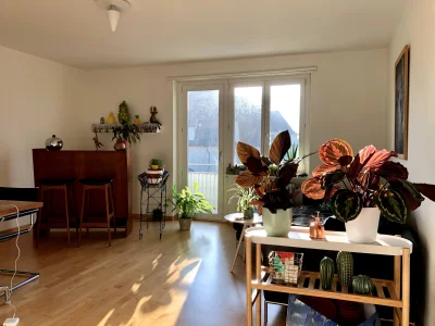 Vorschaubild 1