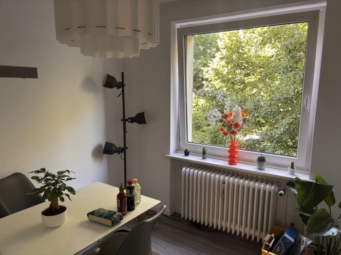 Vorschaubild 8