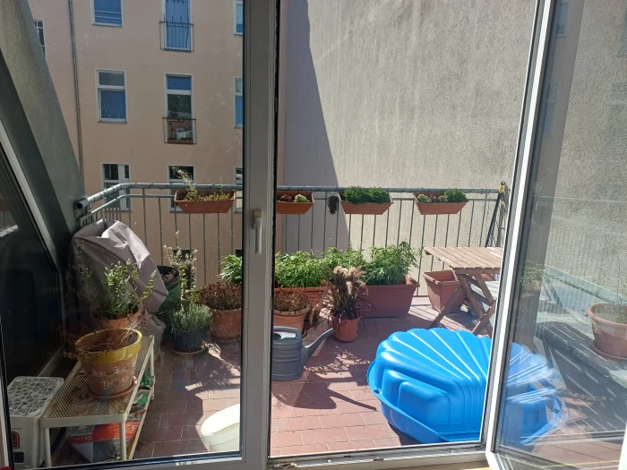 Vorschaubild 1
