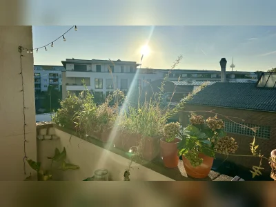 Vorschaubild 6