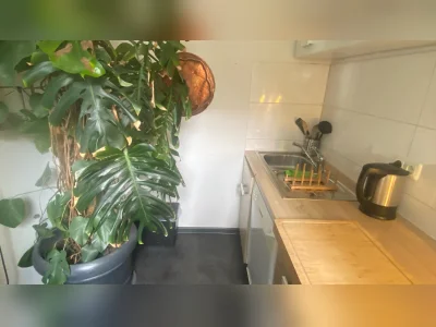 Vorschaubild 7