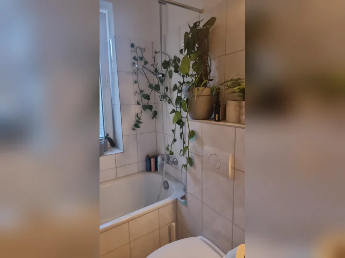 Vorschaubild 11