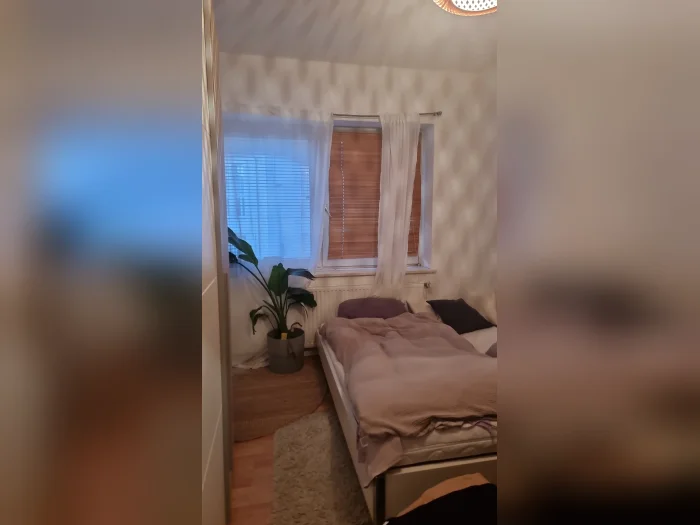 Vorschaubild 12
