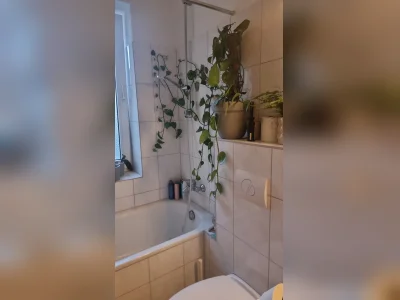 Vorschaubild 11