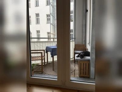 Vorschaubild 5