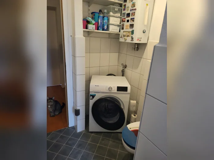 Vorschaubild 5