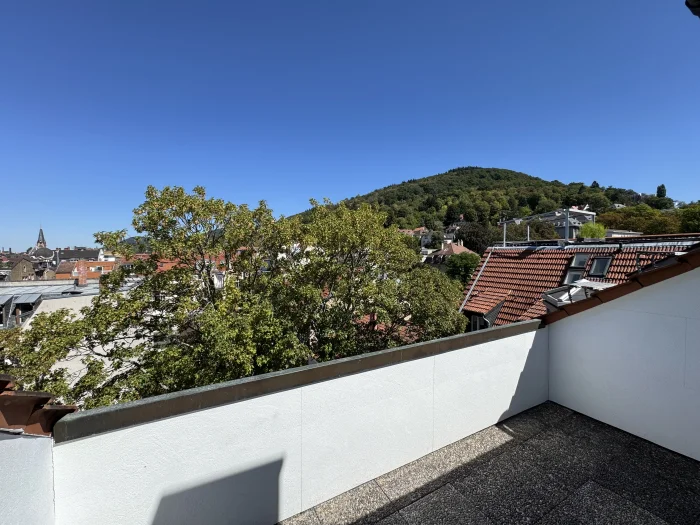 Vorschaubild 5