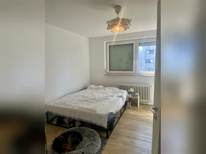 Vorschaubild 6