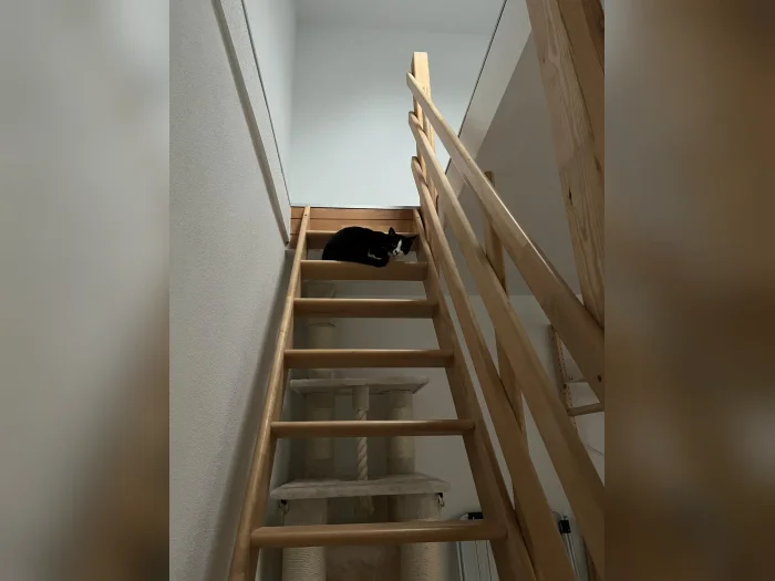 Vorschaubild 8