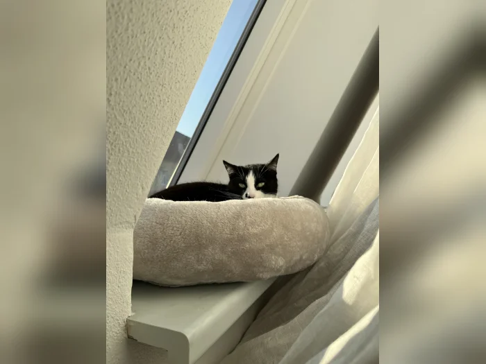 Vorschaubild 5
