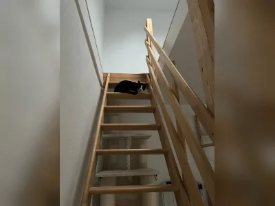 Vorschaubild 8
