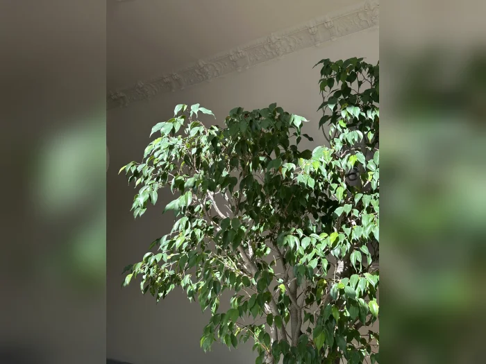 Vorschaubild 3