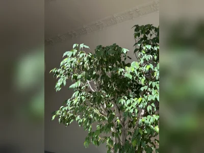 Vorschaubild 3