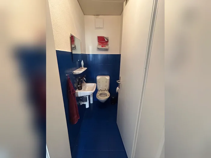 Vorschaubild 8