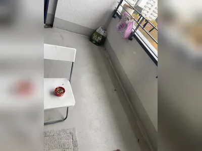 Vorschaubild 3