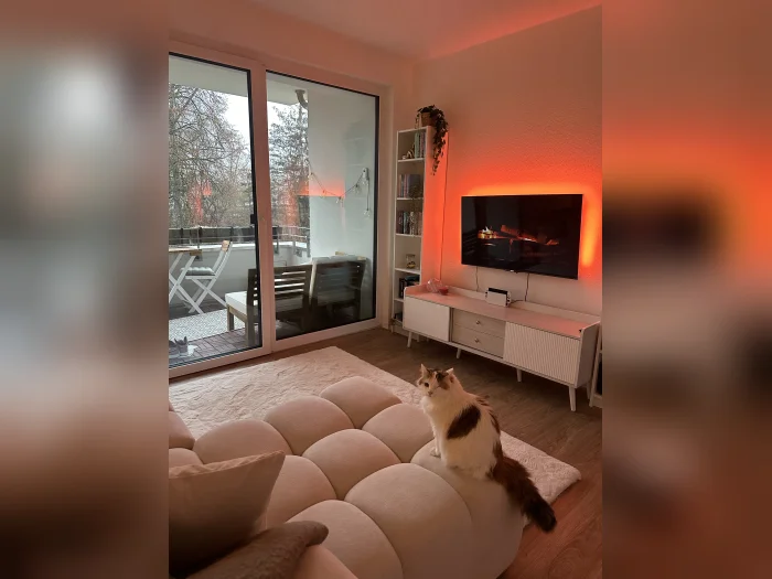 Vorschaubild 1