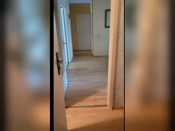 Vorschaubild 11