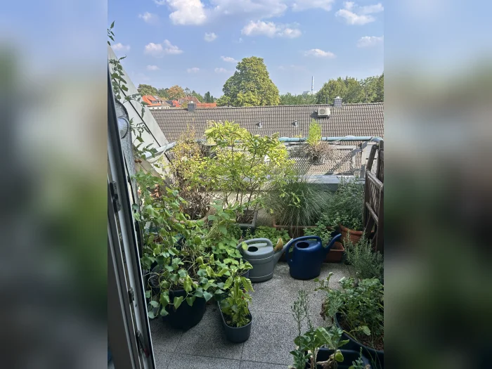 Vorschaubild 3